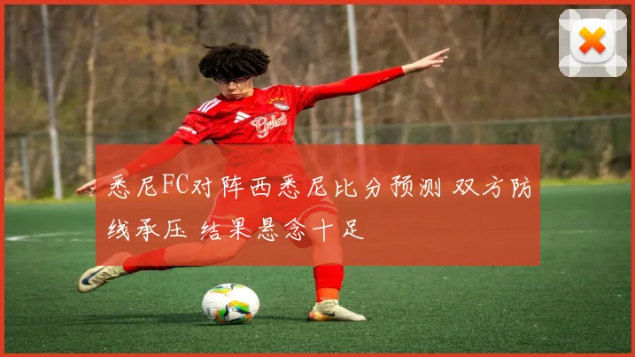 悉尼FC对阵西悉尼比分预测 双方防线承压 结果悬念十足